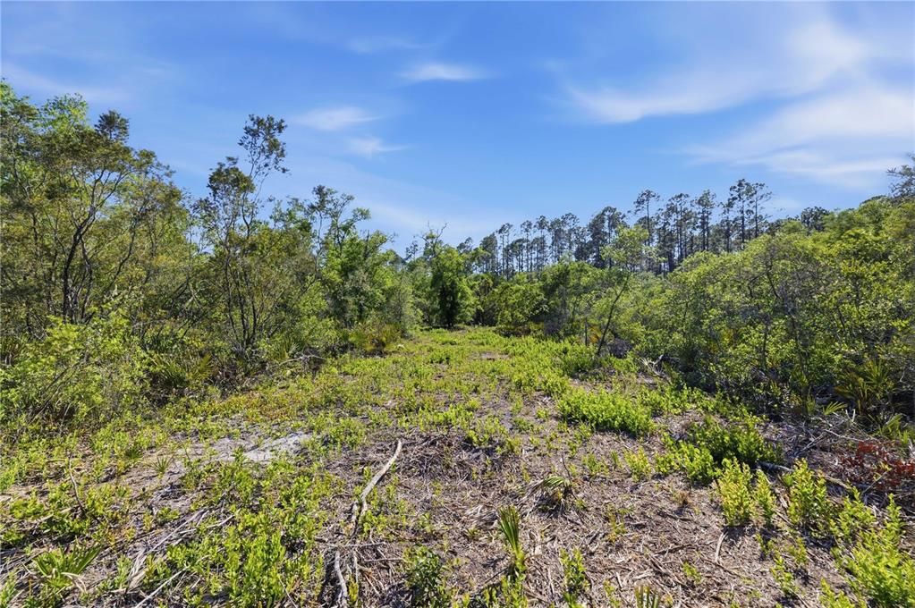 待售: $320,000 (39.36 acres)
