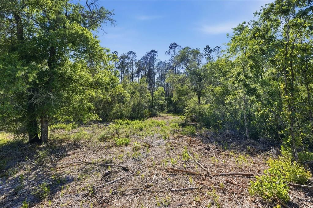 待售: $320,000 (39.36 acres)