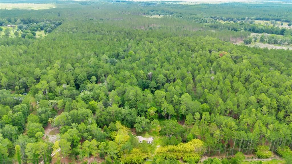 На продажу: $219,000 (16.39 acres)