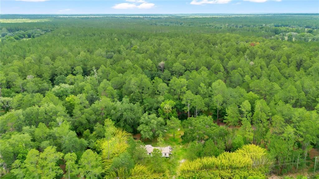 На продажу: $219,000 (16.39 acres)
