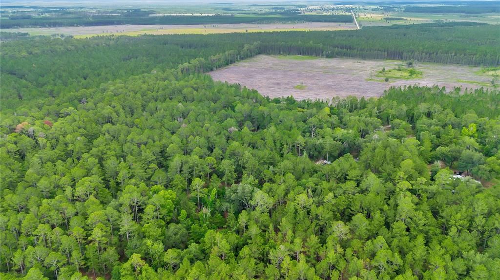 На продажу: $219,000 (16.39 acres)