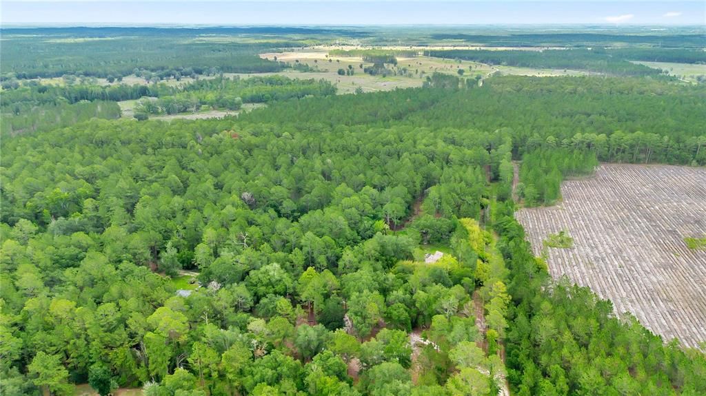 На продажу: $219,000 (16.39 acres)