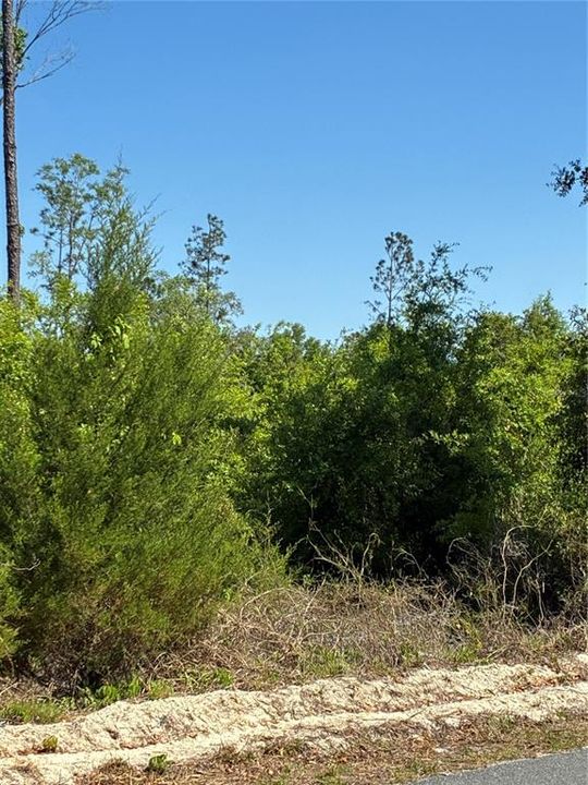 На продажу: $189,000 (9.96 acres)