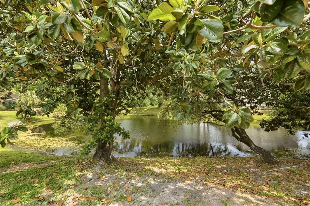 Activo con contrato: $584,999 (3 camas, 2 baños, 1885 Pies cuadrados)