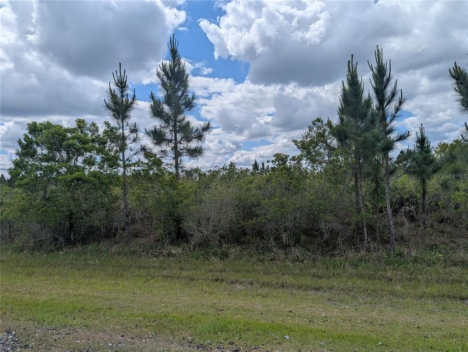 For Sale: $55,000 (3.13 acres)