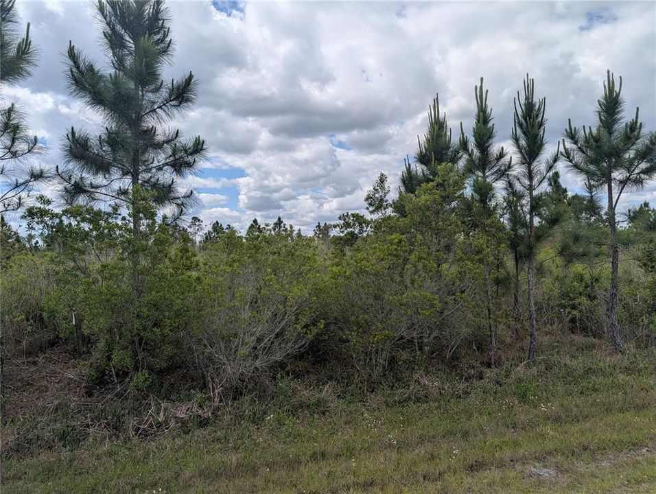 For Sale: $55,000 (3.13 acres)
