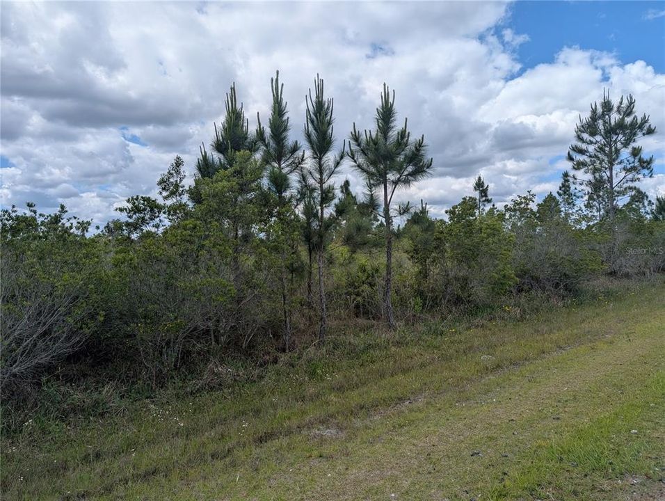 For Sale: $55,000 (3.13 acres)