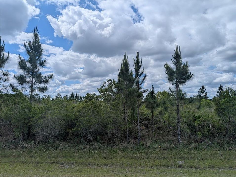 For Sale: $55,000 (3.13 acres)