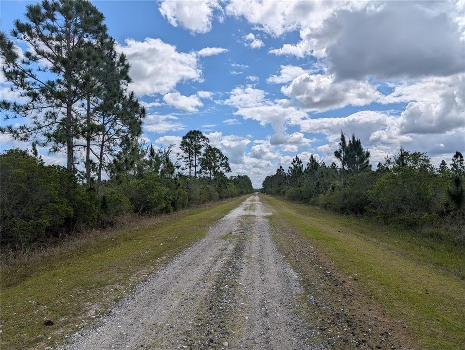 For Sale: $55,000 (3.13 acres)