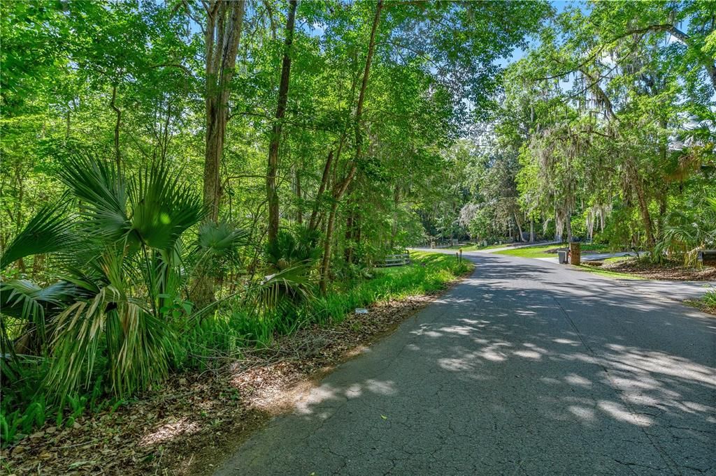 For Sale: $134,900 (1.31 acres)
