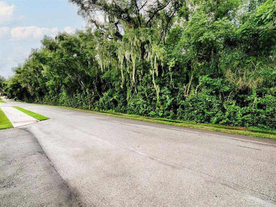 En Venta: $250,000 (1.62 acres)