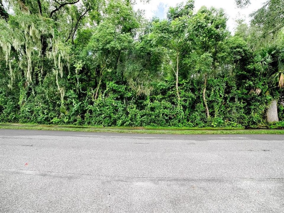 En Venta: $250,000 (1.62 acres)