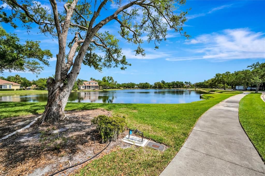 На продажу: $298,900 (0.60 acres)