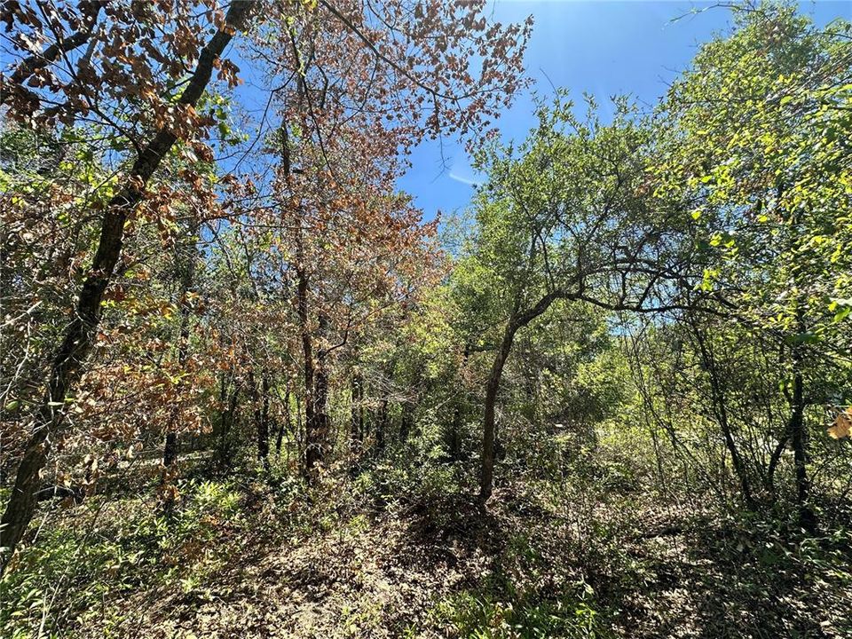 En Venta: $50,000 (5.00 acres)
