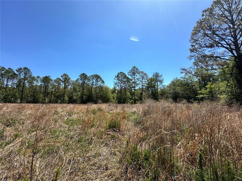 En Venta: $50,000 (5.00 acres)