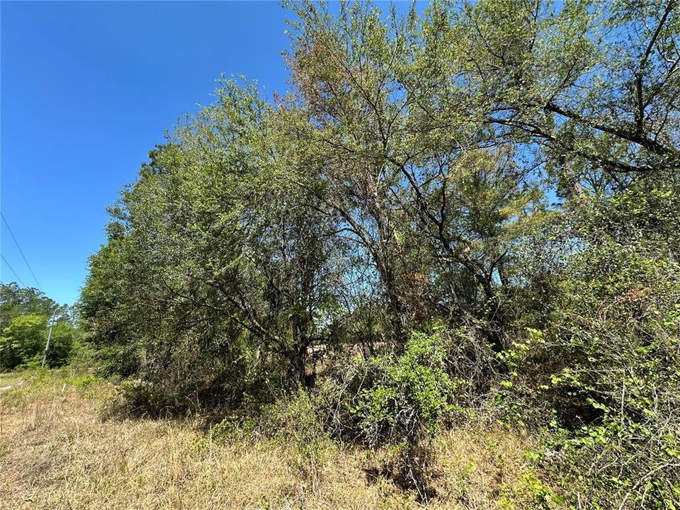 En Venta: $50,000 (5.00 acres)