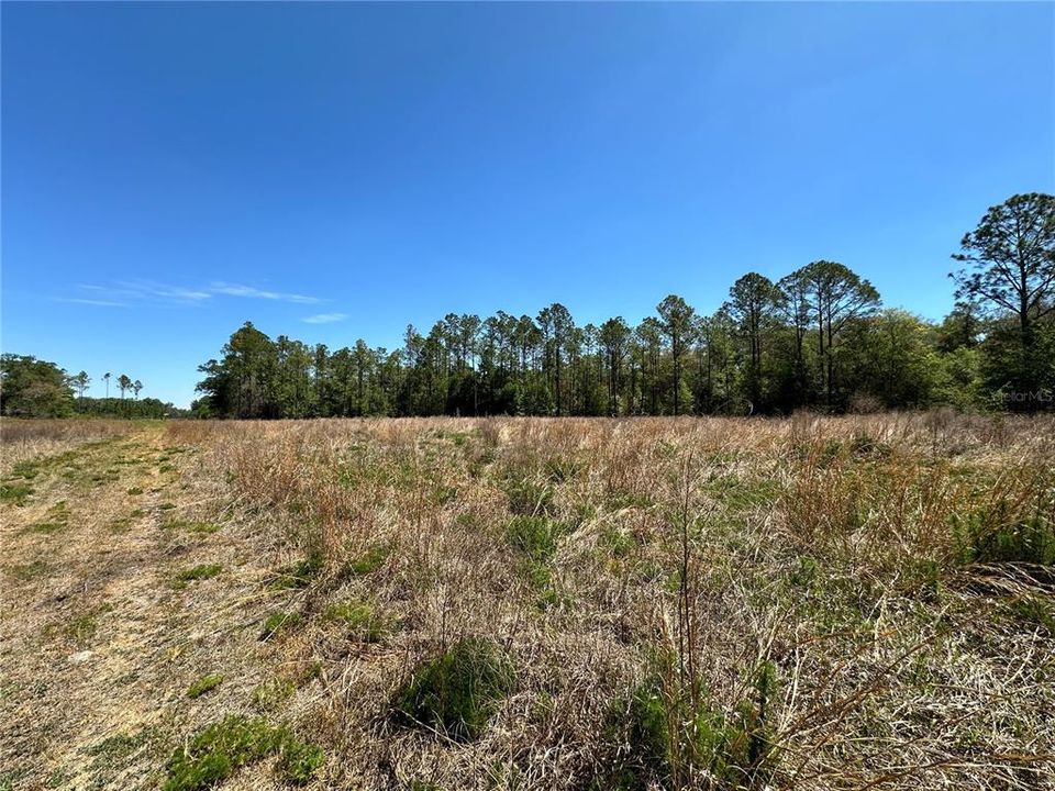 En Venta: $50,000 (5.00 acres)