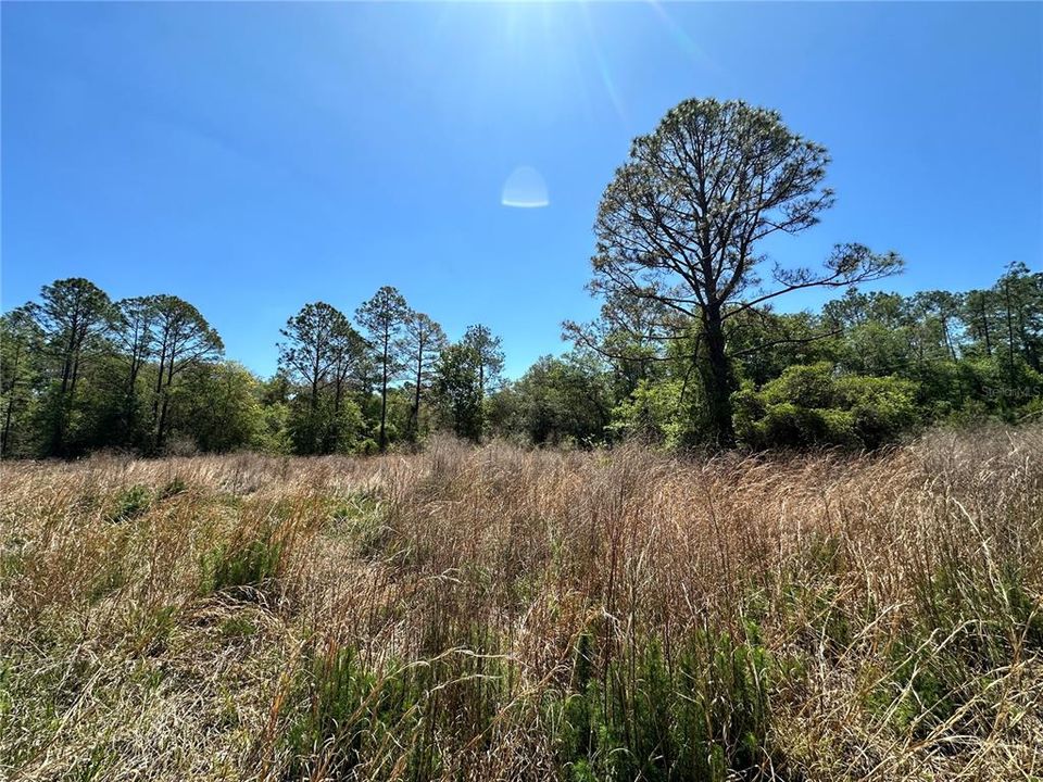 En Venta: $50,000 (5.00 acres)