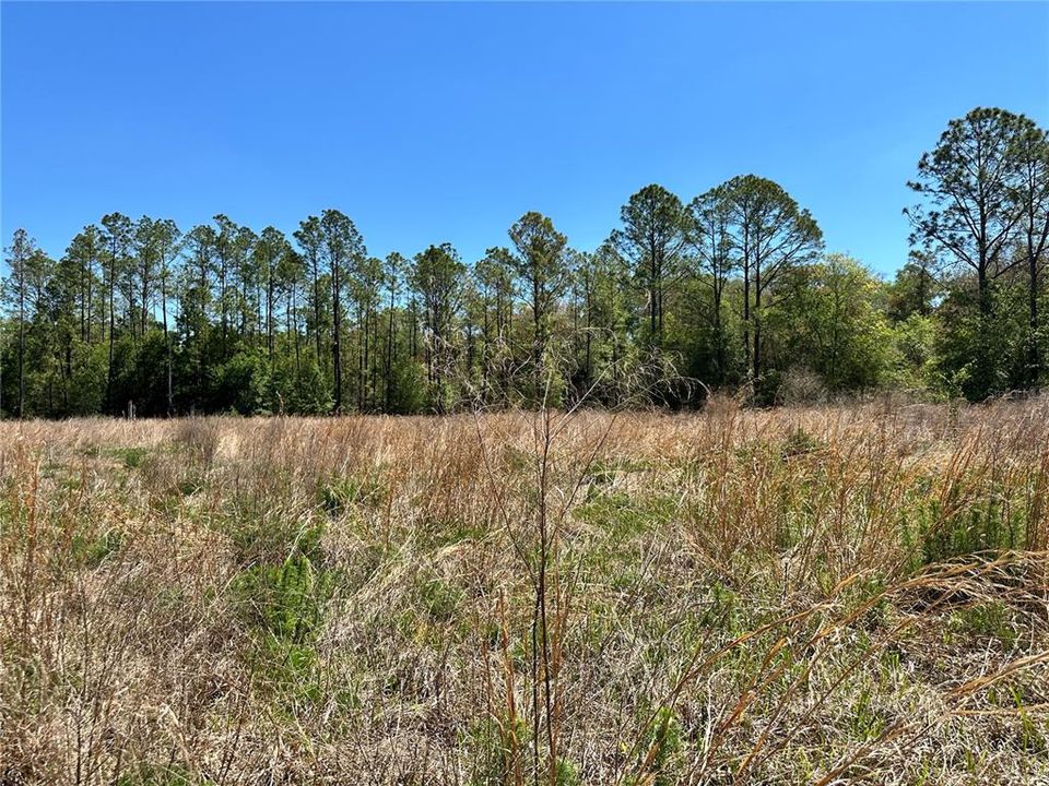 En Venta: $50,000 (5.00 acres)