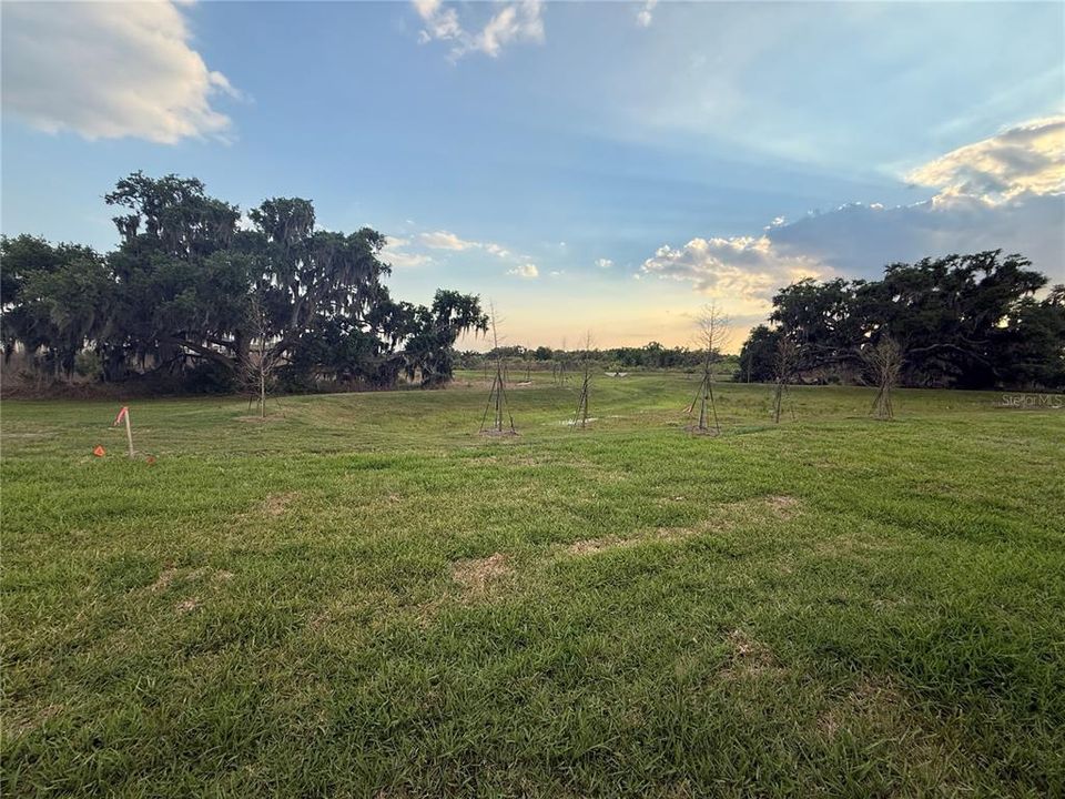 For Rent: $2,500 (3 beds, 2 baths, 1565 Square Feet)