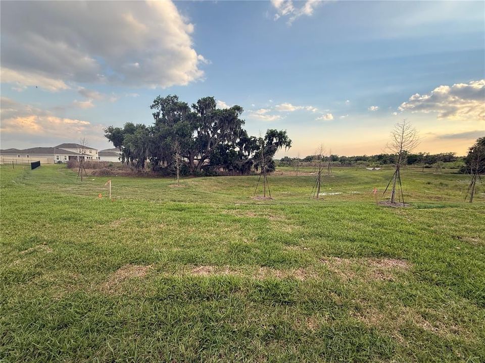 For Rent: $2,500 (3 beds, 2 baths, 1565 Square Feet)