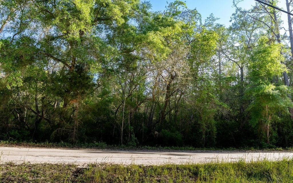 For Sale: $20,000 (1.10 acres)