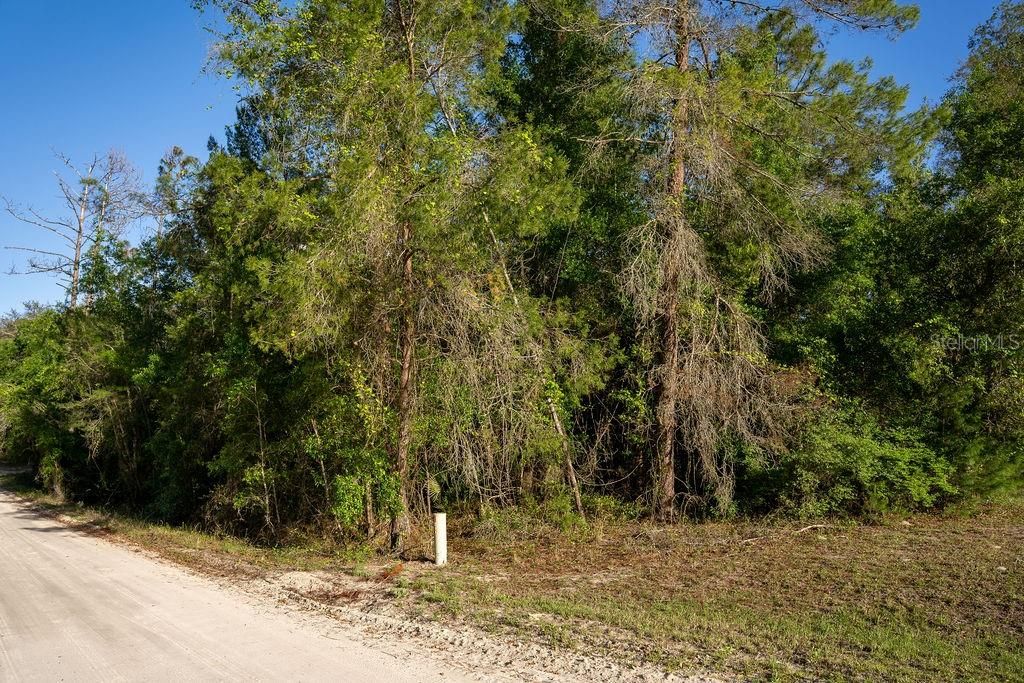 For Sale: $20,000 (1.10 acres)