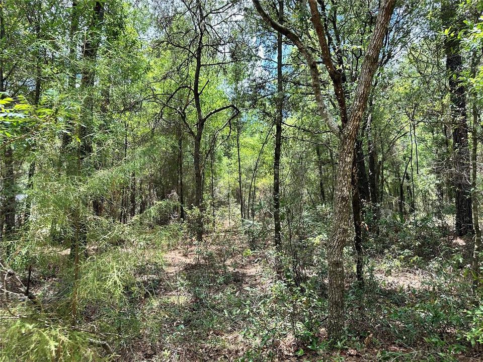 For Sale: $23,000 (1.00 acres)