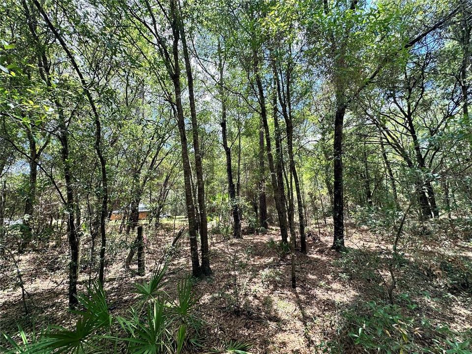 For Sale: $23,000 (1.00 acres)