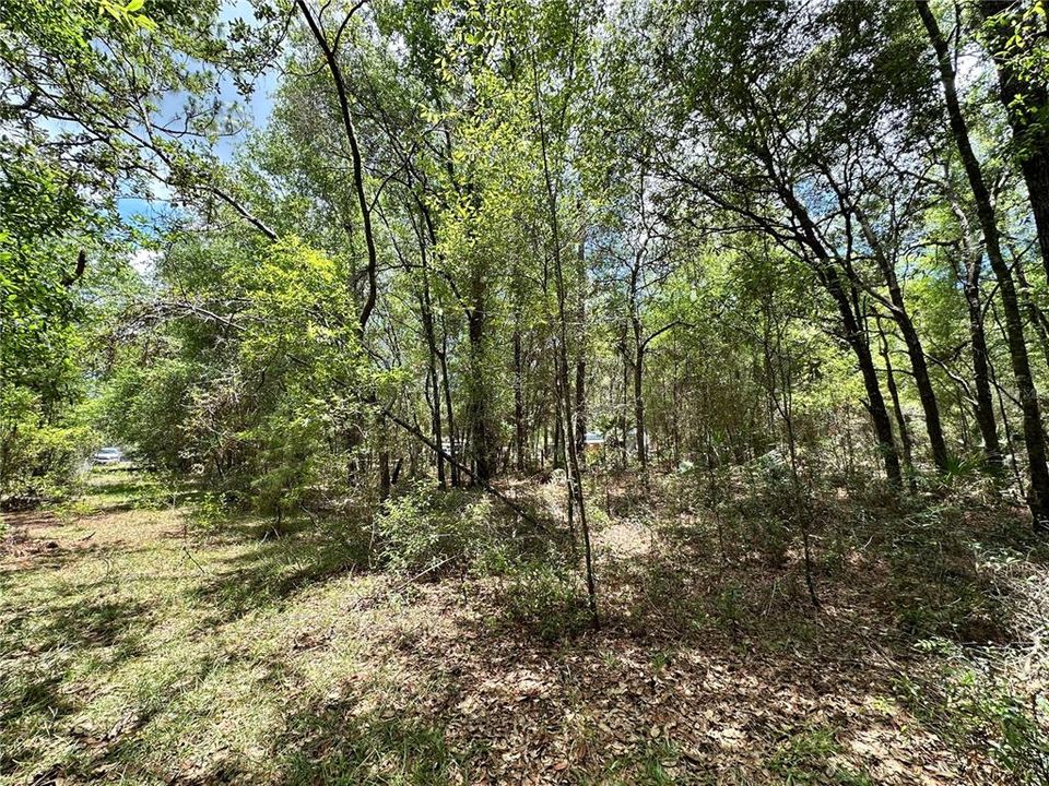 For Sale: $23,000 (1.00 acres)