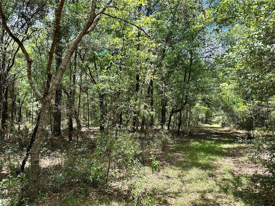 For Sale: $23,000 (1.00 acres)