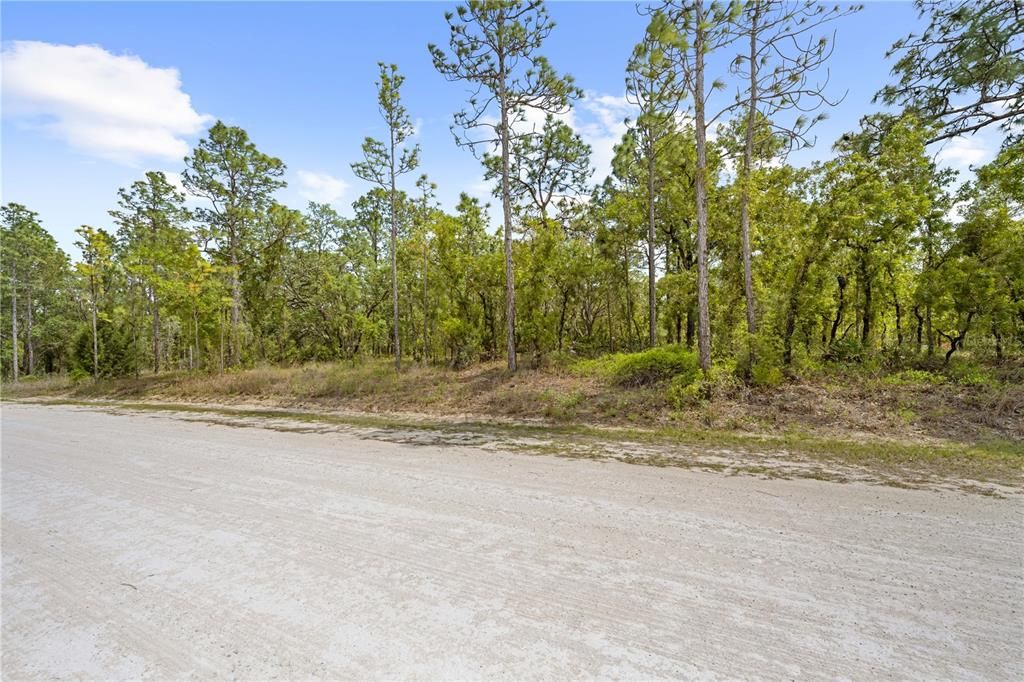 En Venta: $60,000 (0.45 acres)