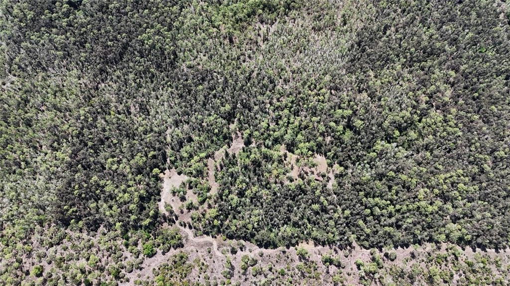 For Sale: $499,000 (15.00 acres)