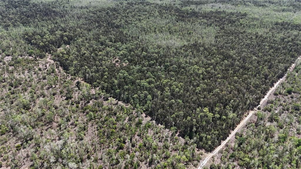 For Sale: $499,000 (15.00 acres)