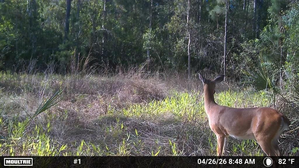 For Sale: $499,000 (15.00 acres)