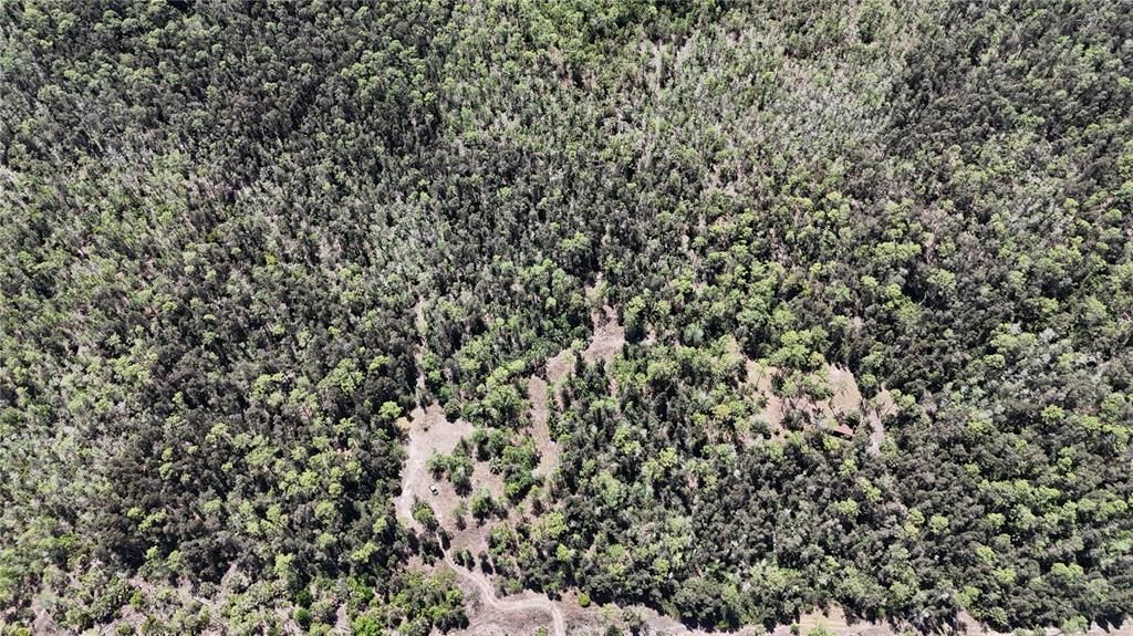 For Sale: $499,000 (15.00 acres)