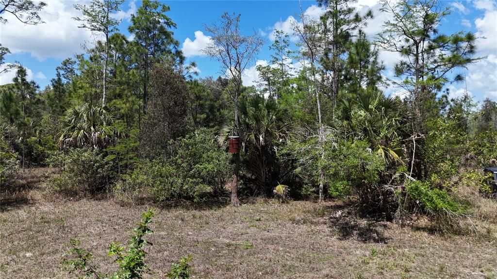 For Sale: $499,000 (15.00 acres)