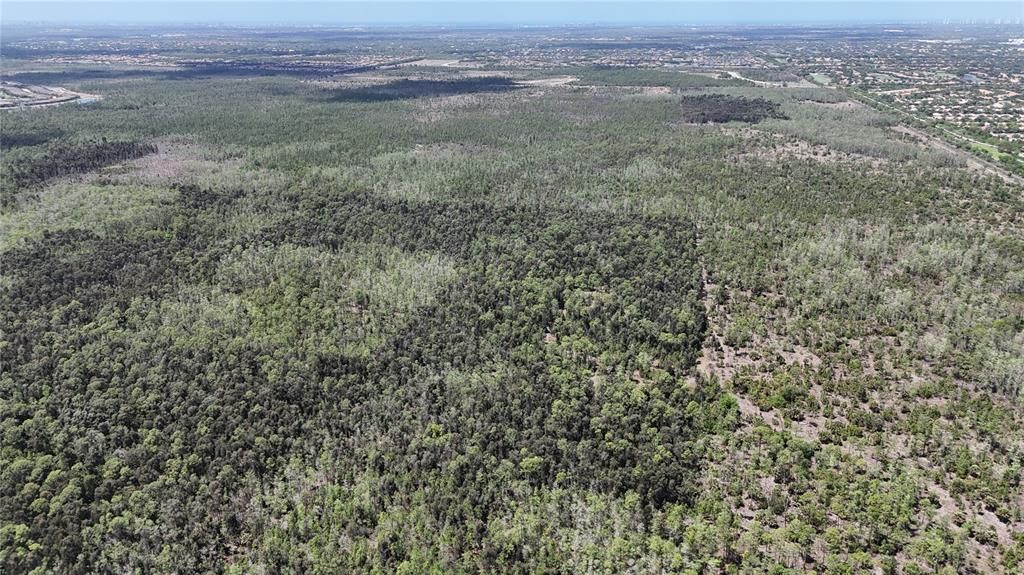 For Sale: $499,000 (15.00 acres)