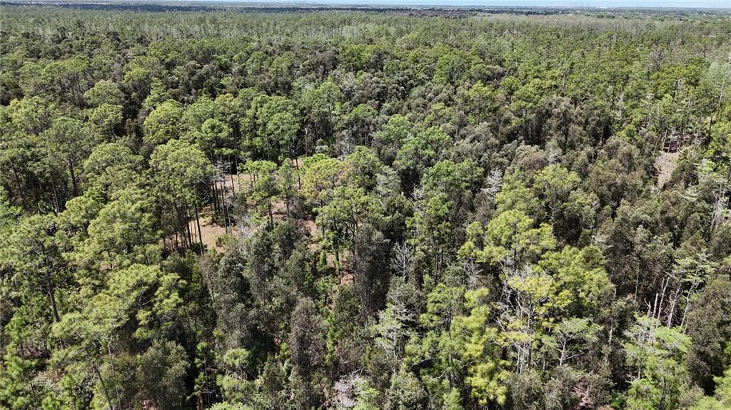 For Sale: $499,000 (15.00 acres)