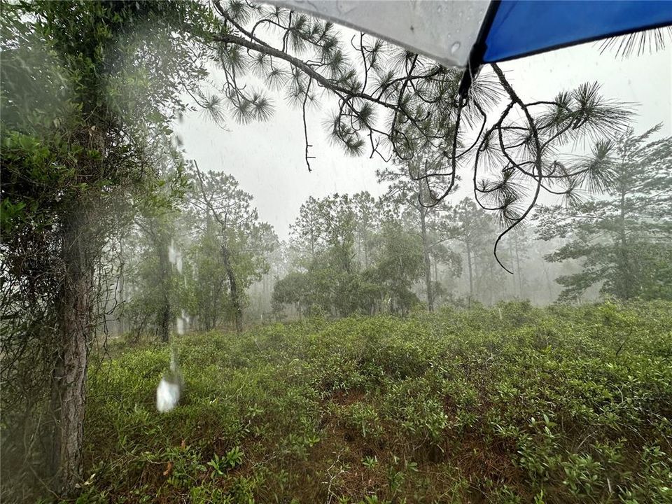 Active With Contract: $20,000 (1.00 acres)