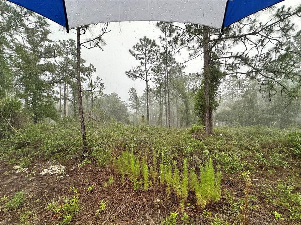 Active With Contract: $20,000 (1.00 acres)