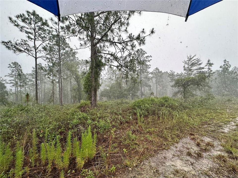 Active With Contract: $20,000 (1.00 acres)