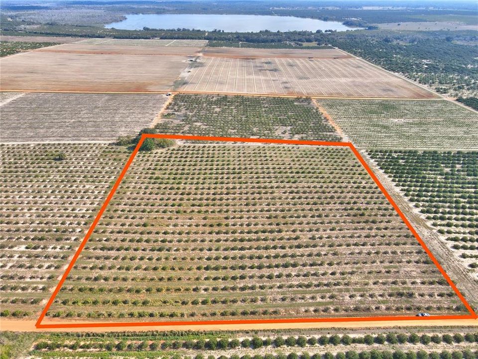 For Sale: $370,000 (20.00 acres)
