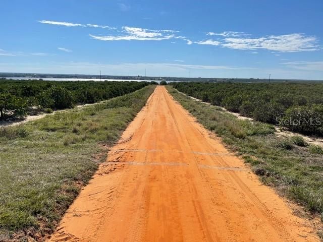 For Sale: $370,000 (20.00 acres)