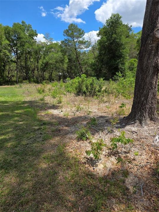На продажу: $35,000 (0.21 acres)