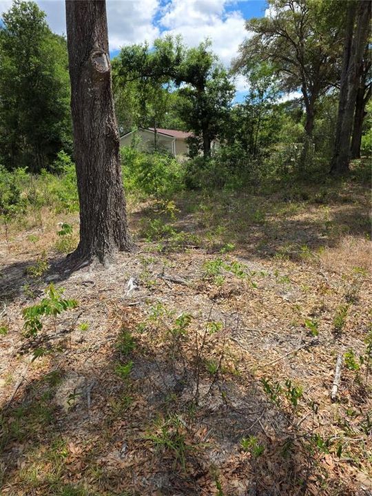 На продажу: $35,000 (0.21 acres)