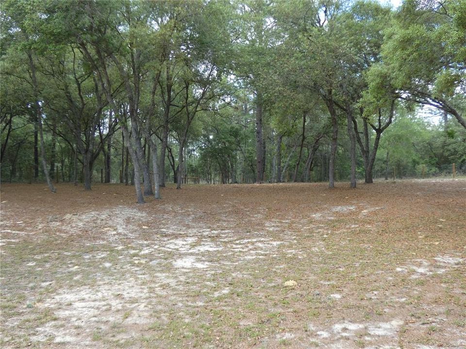 En Venta: $55,000 (0.92 acres)
