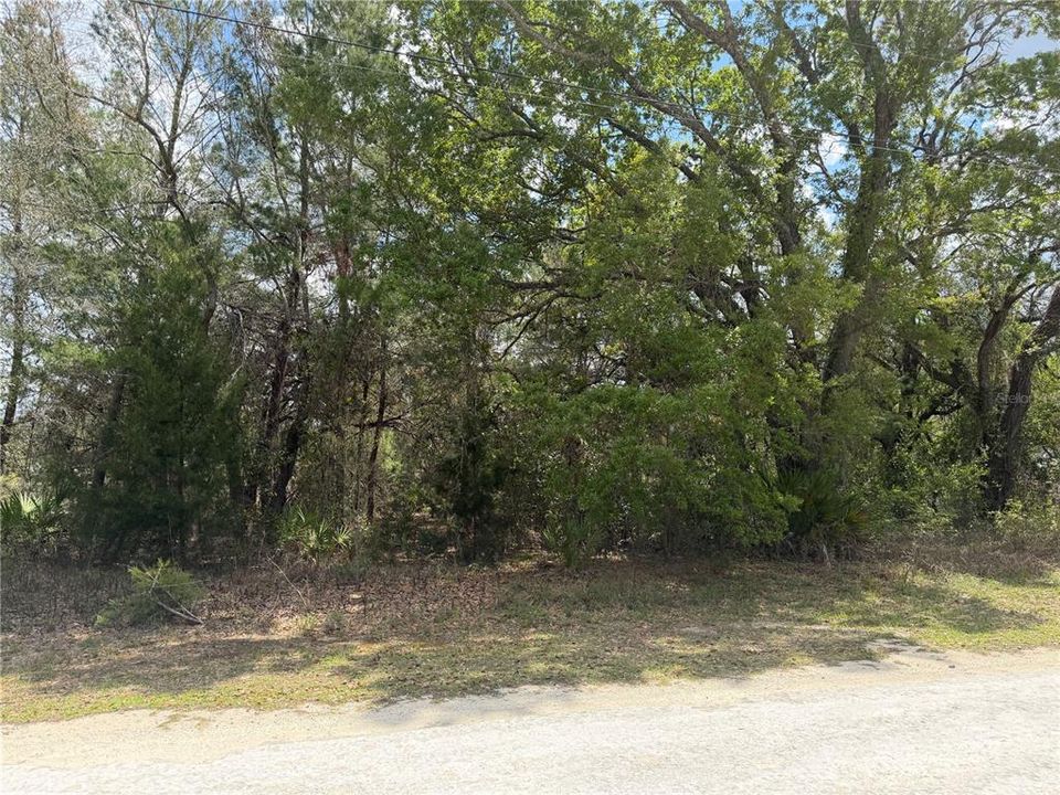 En Venta: $100,000 (1.04 acres)