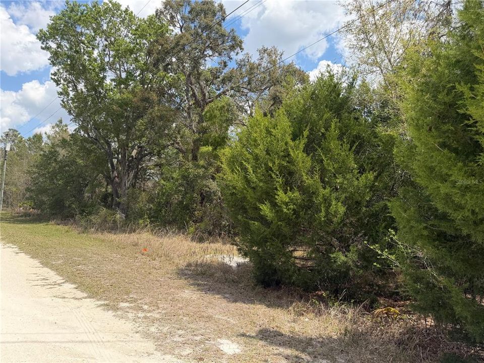 En Venta: $100,000 (1.04 acres)