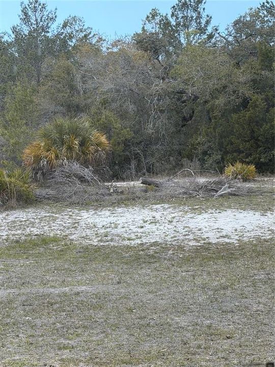 En Venta: $100,000 (1.04 acres)